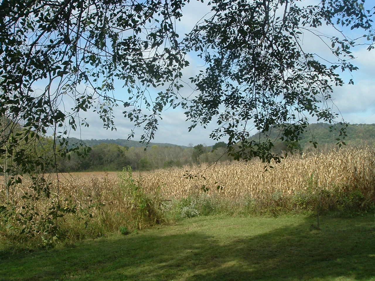 View 5